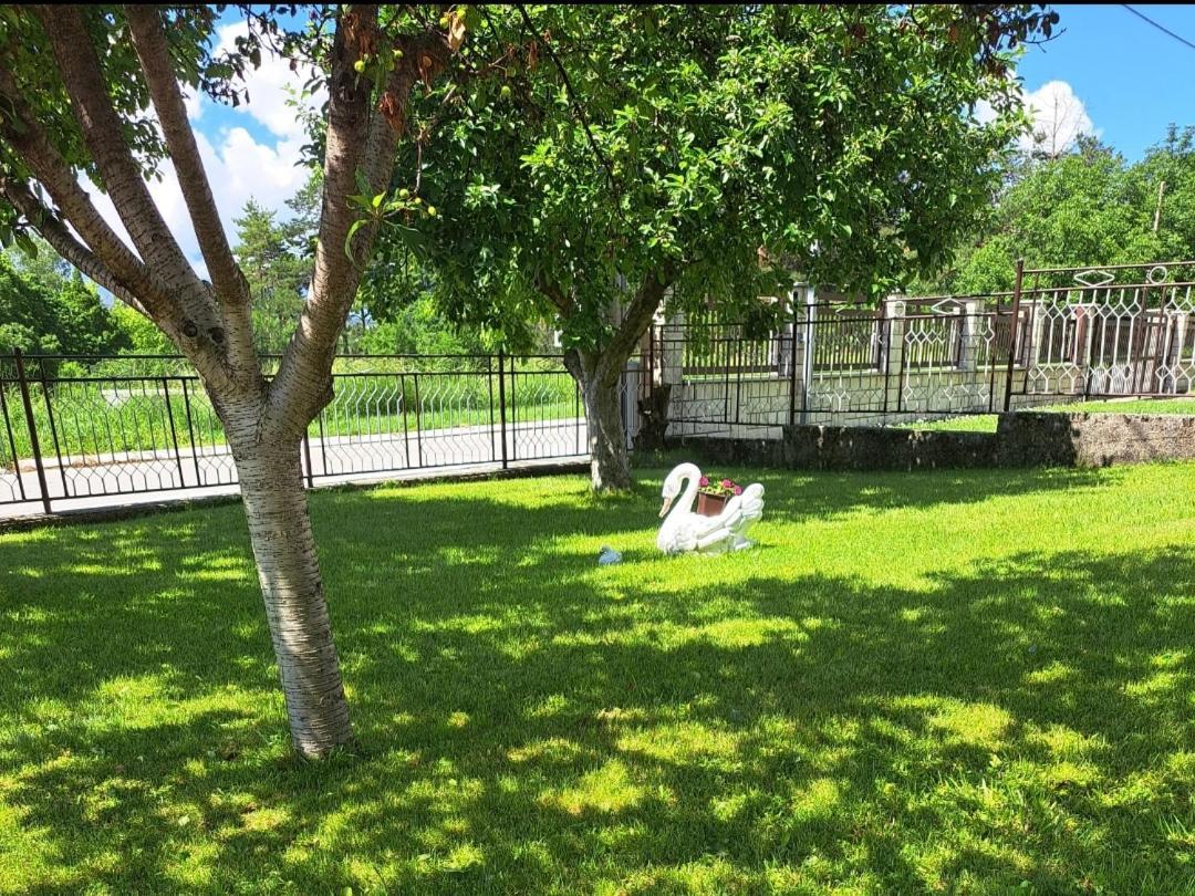 Apartman Ivo Livno Exteriér fotografie